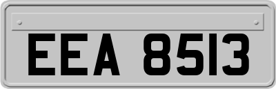 EEA8513