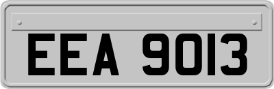EEA9013