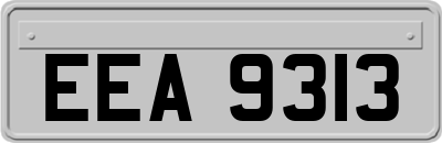 EEA9313