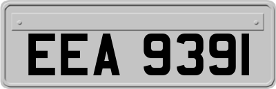 EEA9391