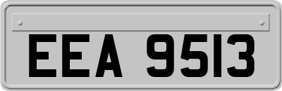 EEA9513