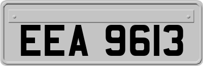 EEA9613
