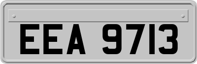 EEA9713