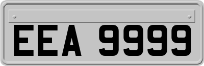 EEA9999