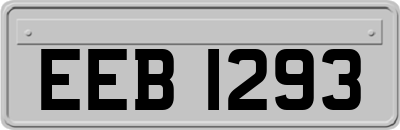 EEB1293