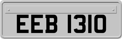 EEB1310
