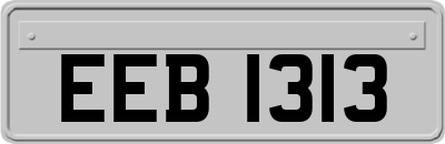EEB1313