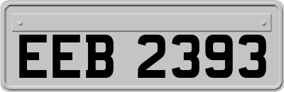 EEB2393