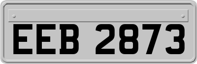 EEB2873