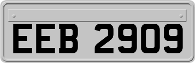 EEB2909