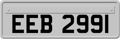 EEB2991
