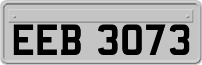 EEB3073
