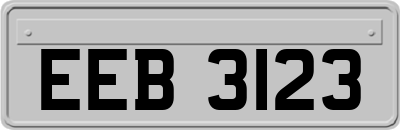 EEB3123