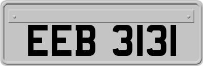 EEB3131