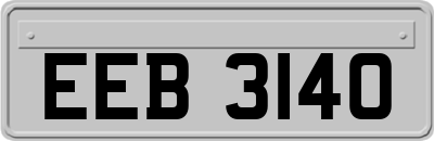 EEB3140