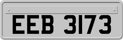 EEB3173