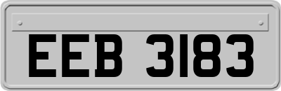 EEB3183