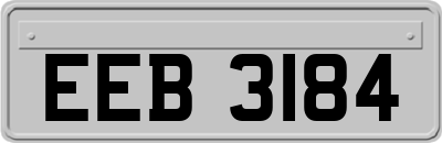 EEB3184