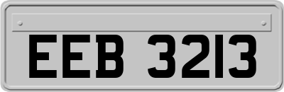 EEB3213