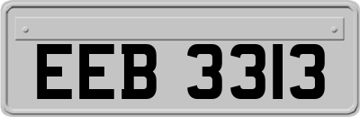 EEB3313