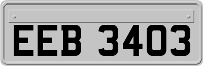 EEB3403