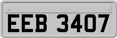EEB3407