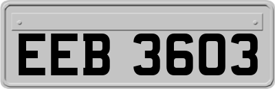 EEB3603