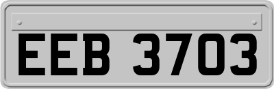 EEB3703