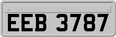EEB3787