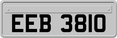 EEB3810