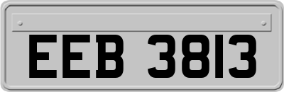 EEB3813