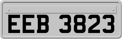EEB3823