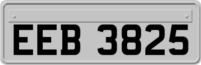 EEB3825