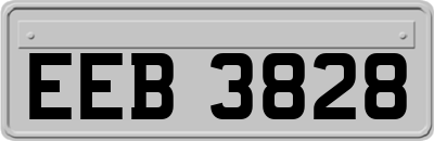 EEB3828