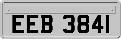 EEB3841