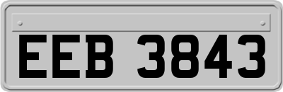 EEB3843