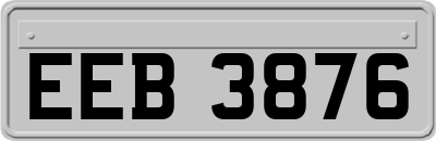 EEB3876