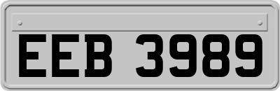 EEB3989