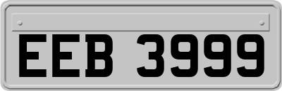 EEB3999