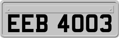 EEB4003