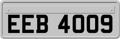 EEB4009