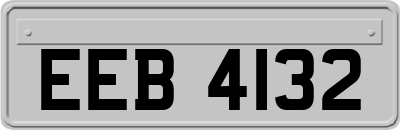 EEB4132