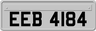 EEB4184