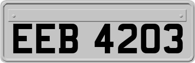 EEB4203
