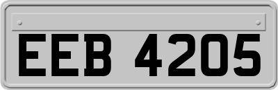 EEB4205