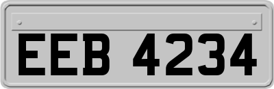 EEB4234