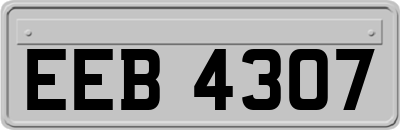 EEB4307