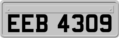 EEB4309