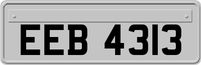 EEB4313