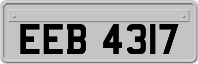 EEB4317